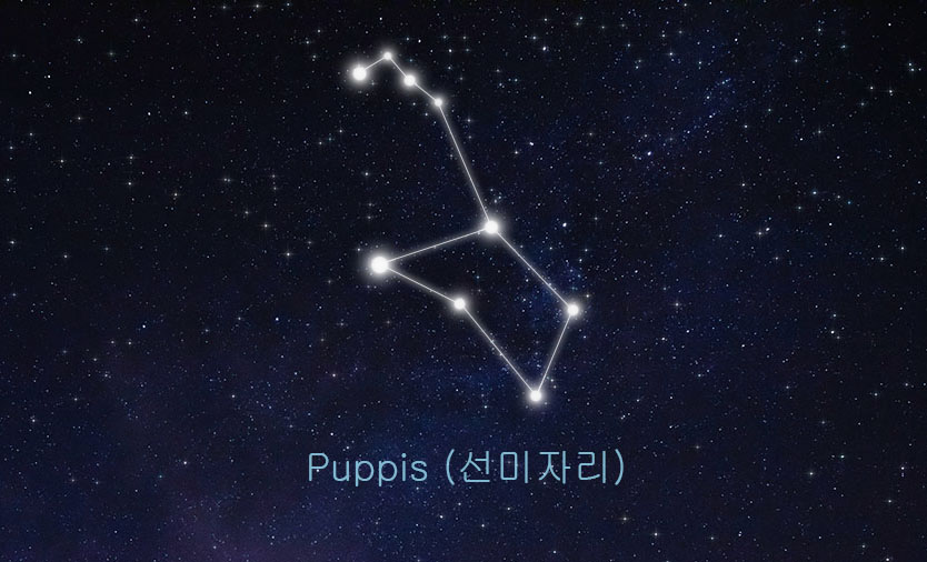 선미자리 관련 이미지