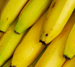 위궤양에 좋은 음식 영양제 식단