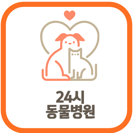 24시 동물병원