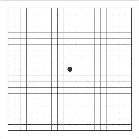 황반변성 암슬러 격자 테스트