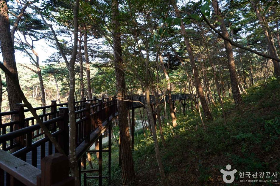 태안 가볼만한곳 베스트10