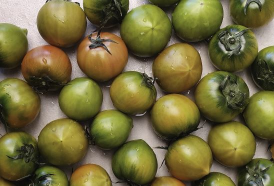 뇌경색에 좋은 음식