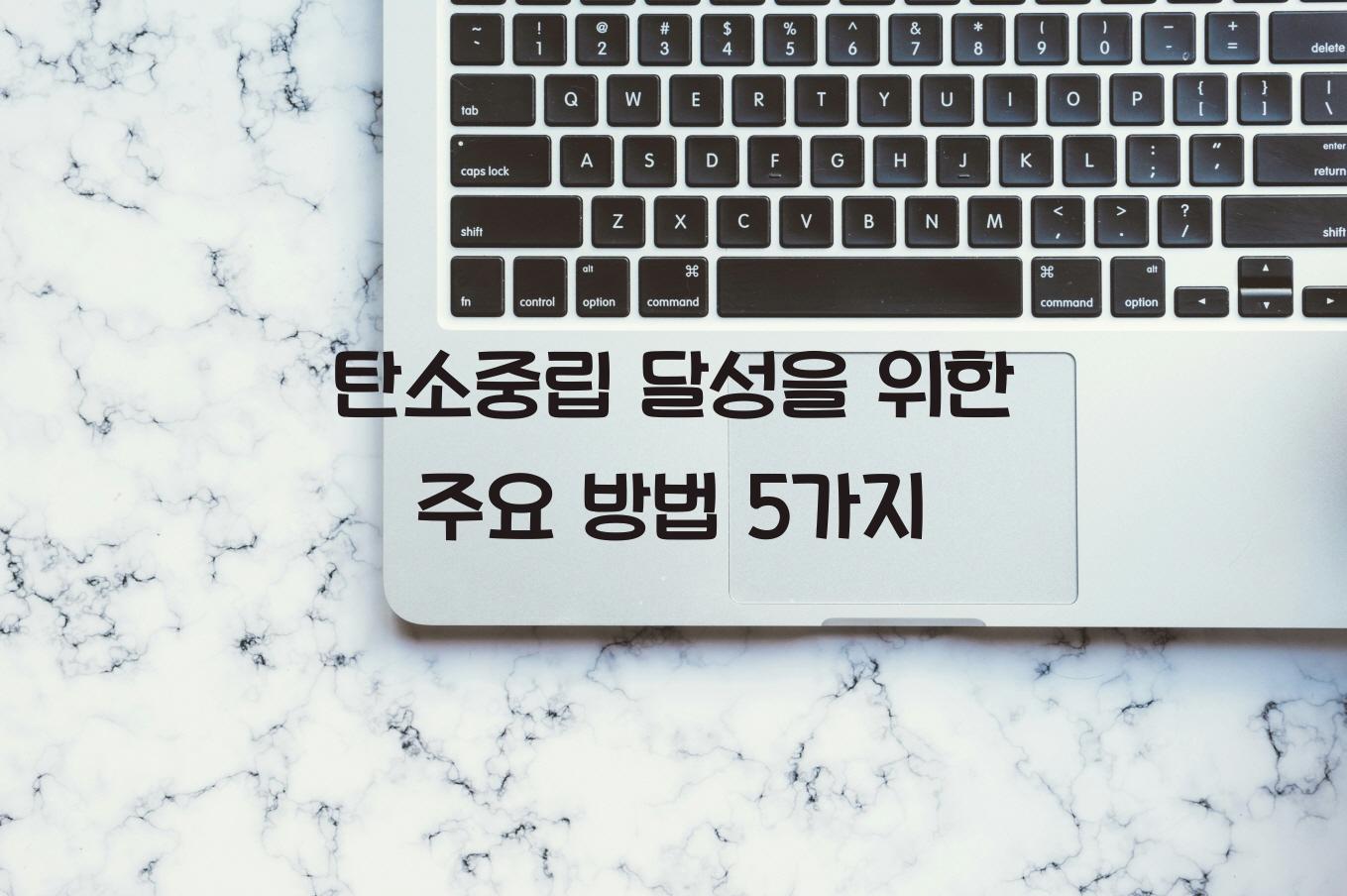 탄소중립