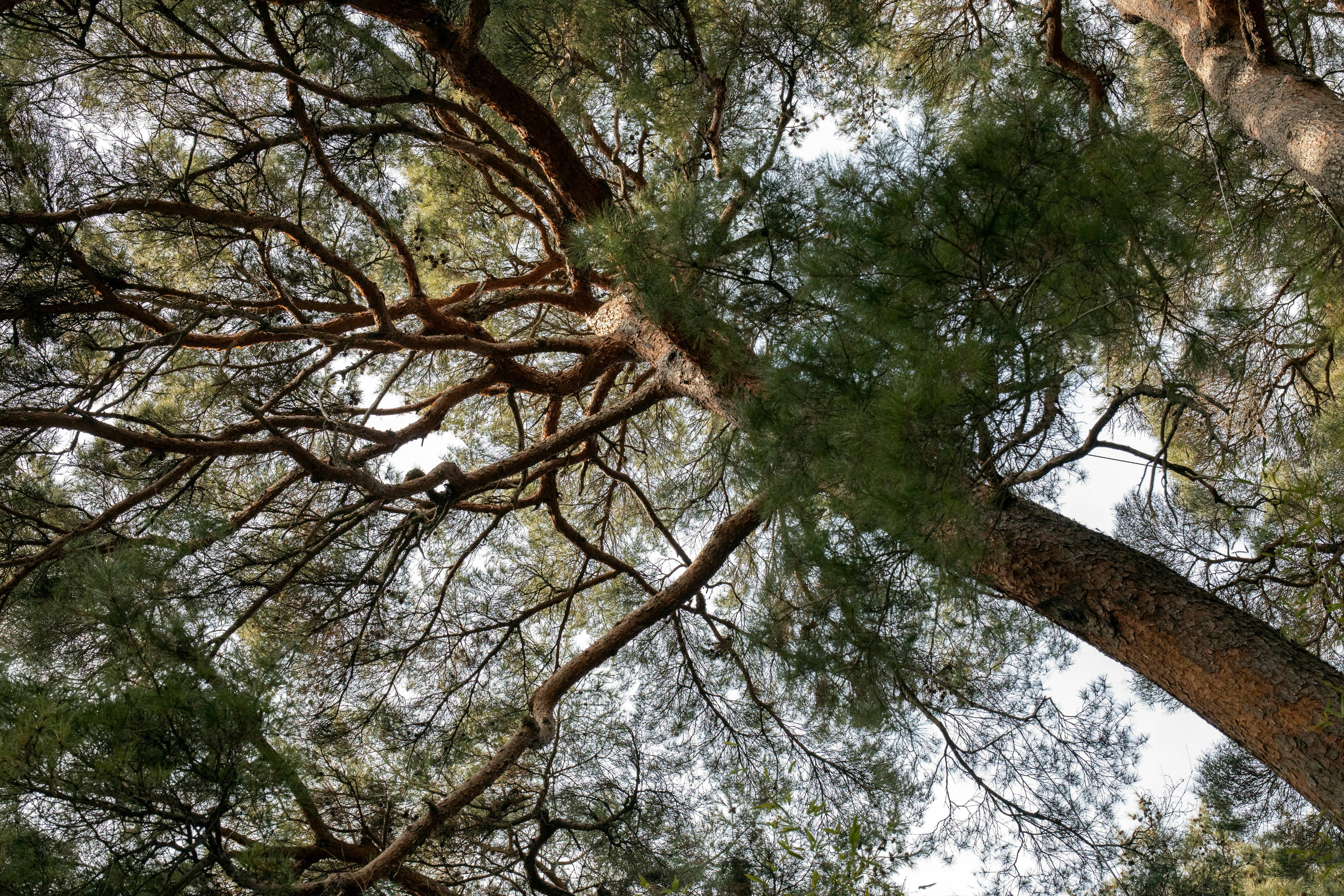 강릉 모습들 이미지