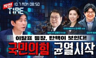 박진영 부원장 시사 평론가