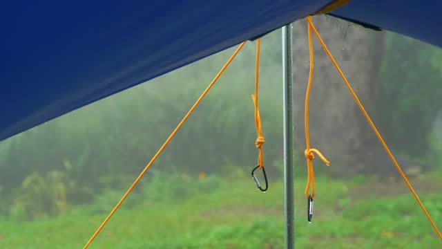 타프종류 및 고르는법