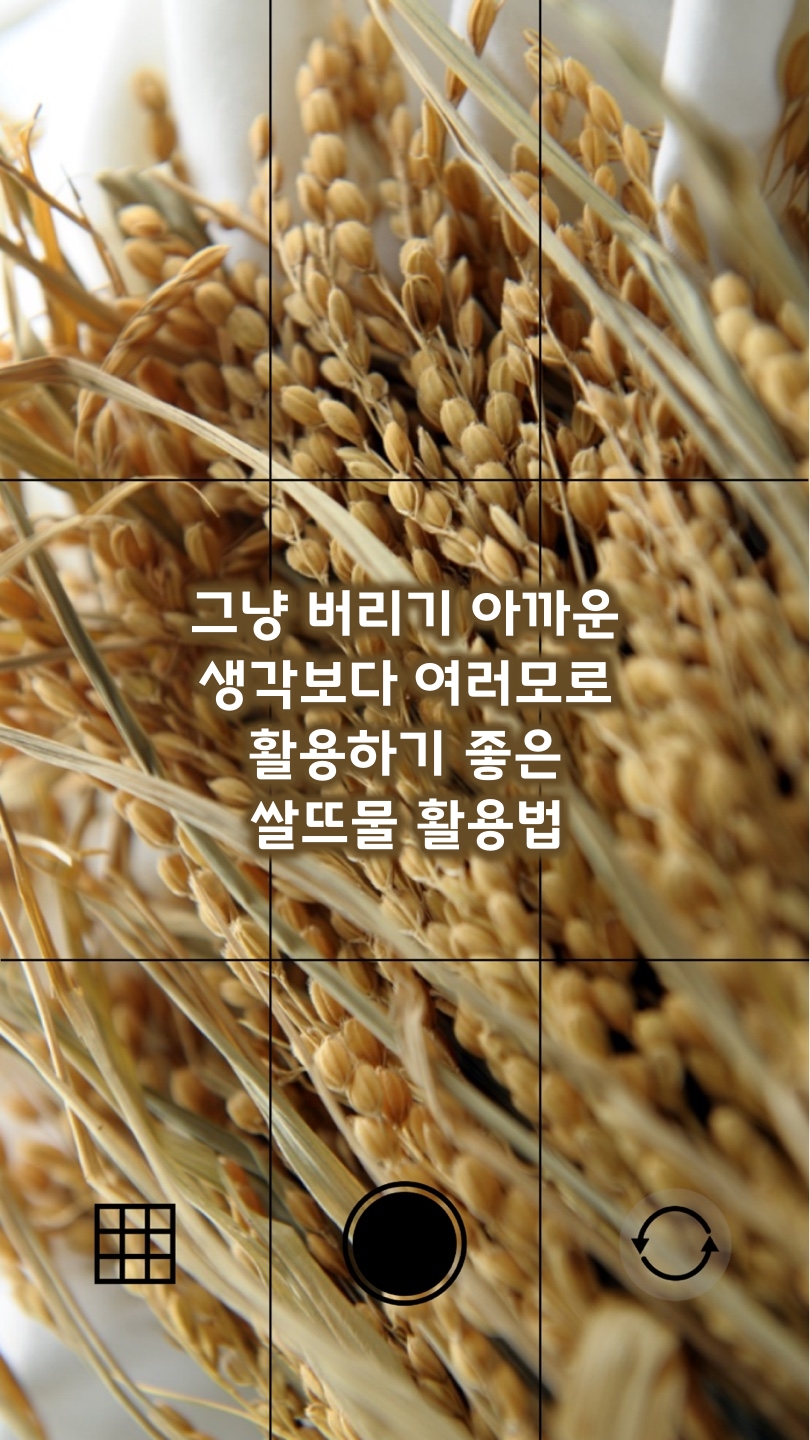 활용하기 좋은 쌀뜨물