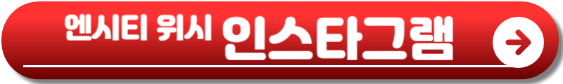 엔시티 위시