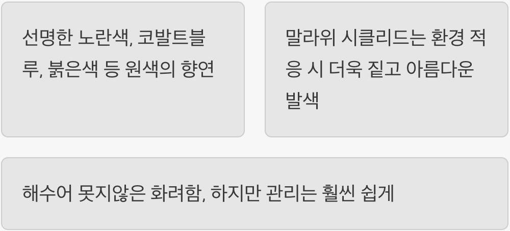 바다를 옮겨온 듯한 착각, 화려한 발색