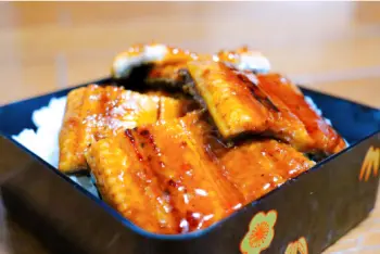 민물장어 가격 및 효능, 영양성분