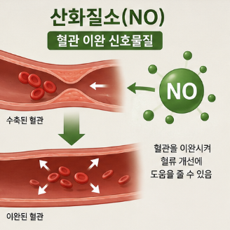 땃두릅엔오-효능-복용법-부작용-내돈내산-구매-후기