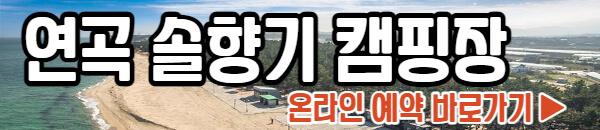 연곡 솔향기 캠핑장 예약하기