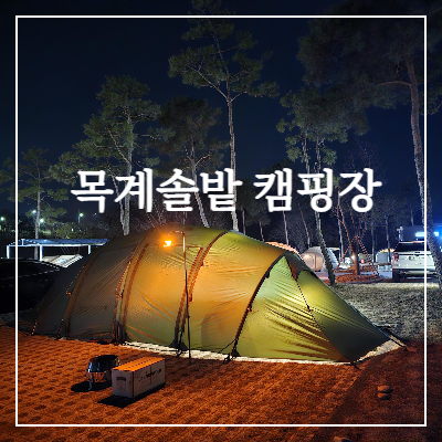 목계솔밭_캠핑장