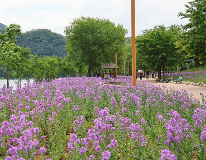 꽃길1