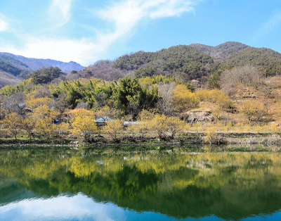 [정원수목]한옥 정원에 어울리는 한국 전통 수목 10가지