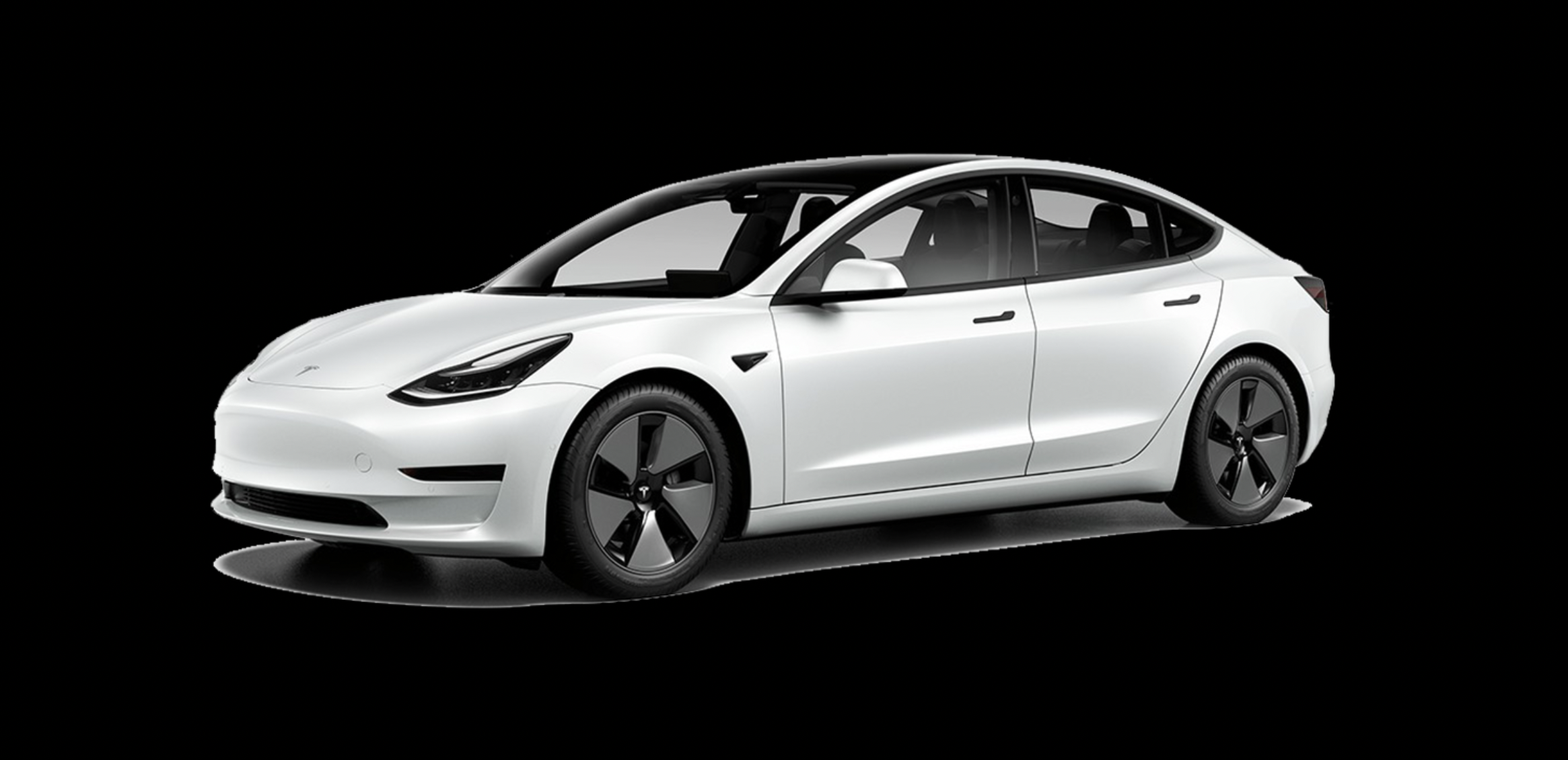 테슬라 주식 전망