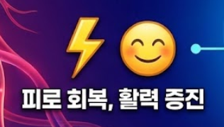 아르기닌 효능