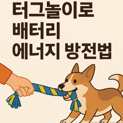 터그놀이 루틴 : 강아지 스트레스 해소법 끝판왕