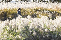 시흥 갯골생태공원 취사존 예약