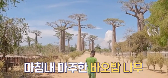 지구나불 바오밥나무 마을 방문