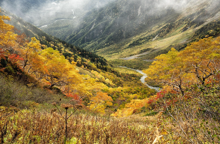대성서비스센터