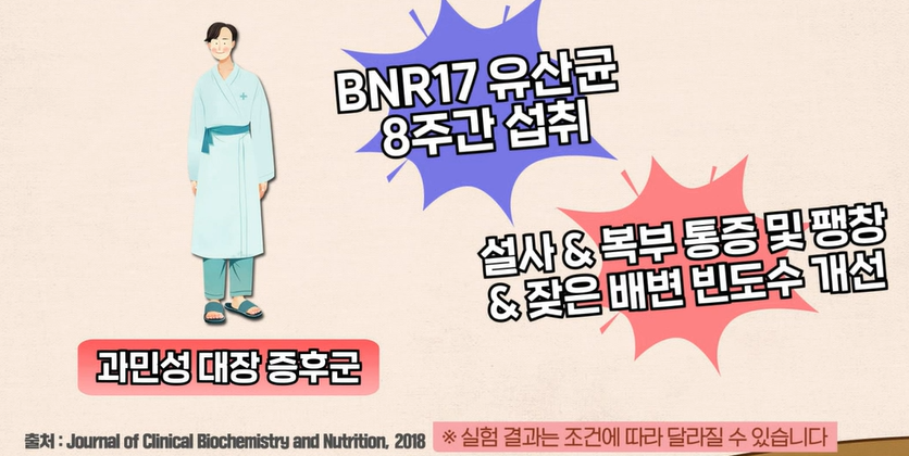 bnr17유산균 효능