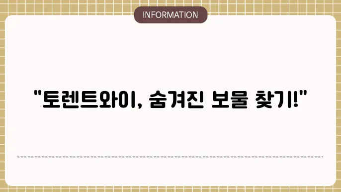 토렌트와이 사이트 알아보자