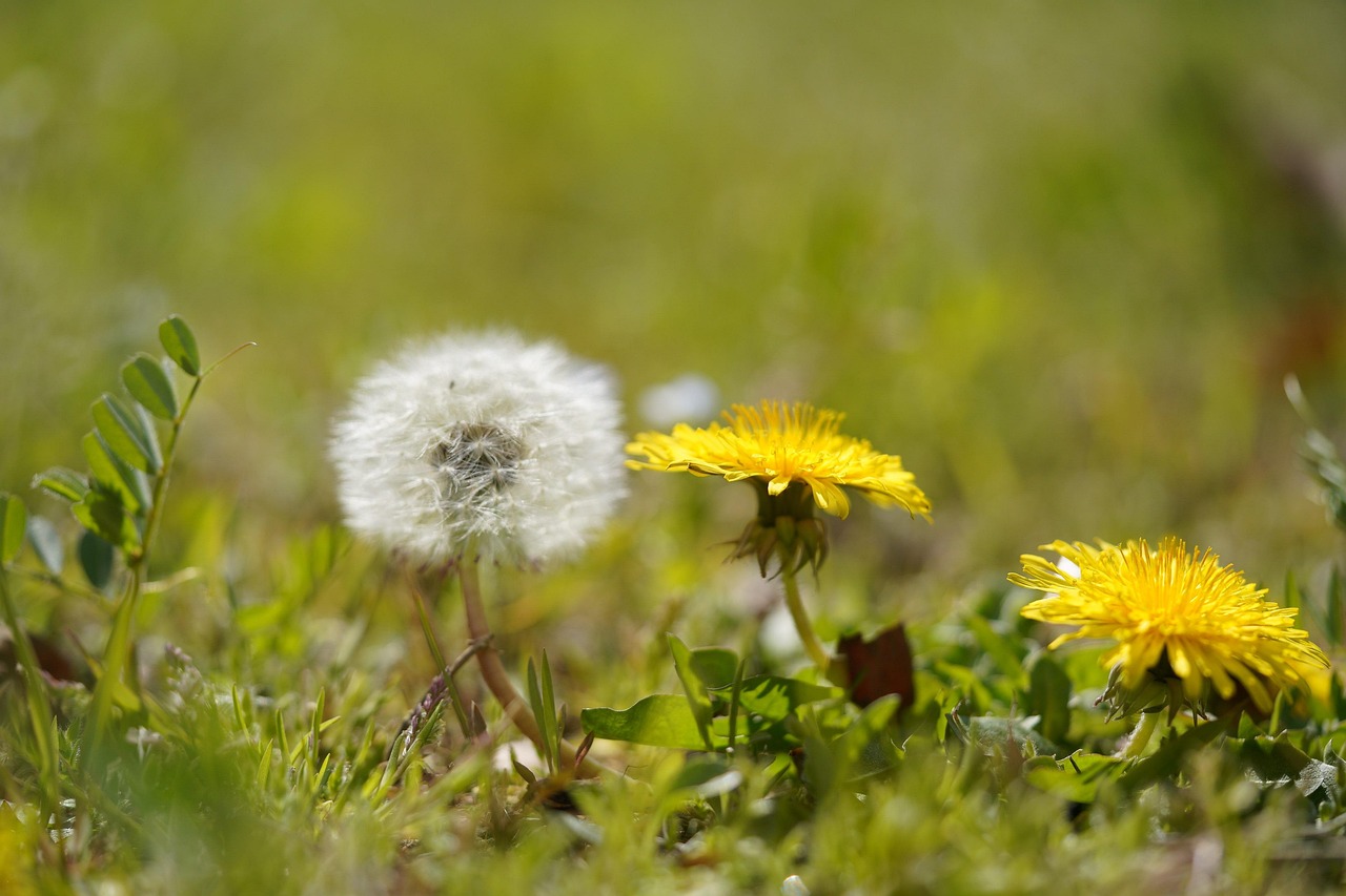 영화 픽션 감정 전달 관련 사진