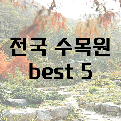 전국 수목원 BEST 5 – 자연의 품으로 떠나는 진짜 힐링 여행