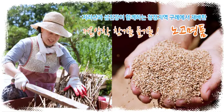 생방송오늘저녁 [귀향 귀촌 부부가 만드는 전남 구례 지리산 참기름 들기름 전화 인터넷 택배 판매]