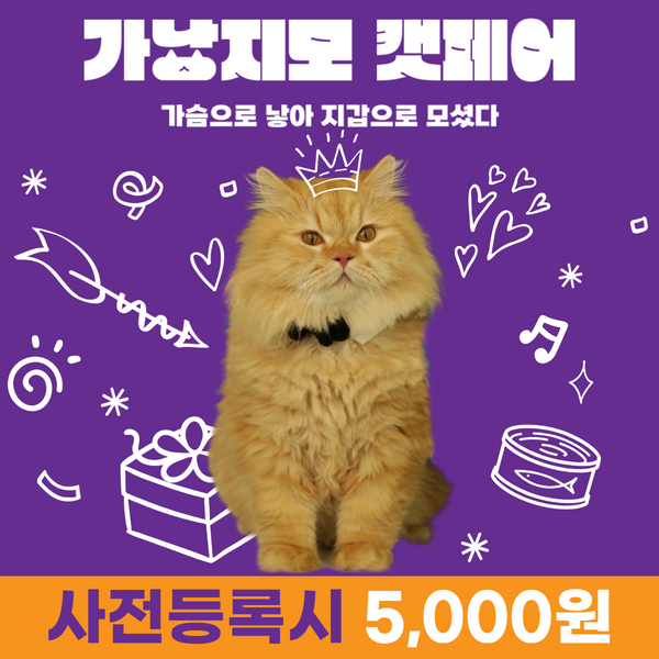 집사-대축제,-2023-가낳지모-캣페어-보러갈래