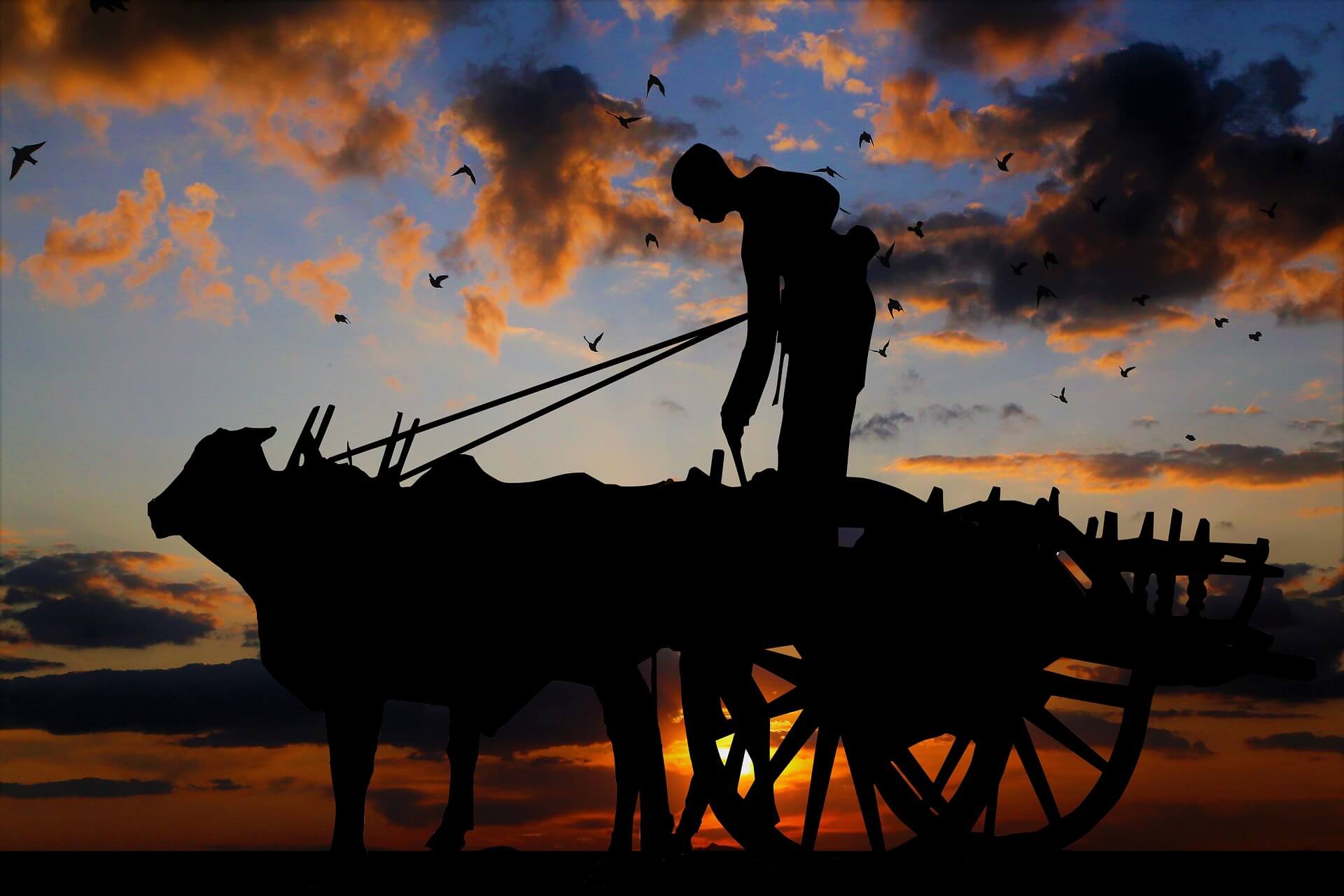 경기도 농민기본소득