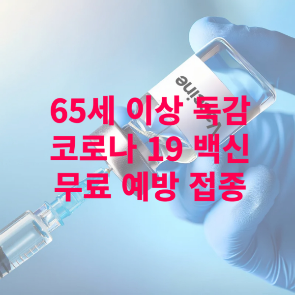 65세 이상 독감 무료 예방 접종 병원 ( 코로나19 백신 동시 접종 )신청