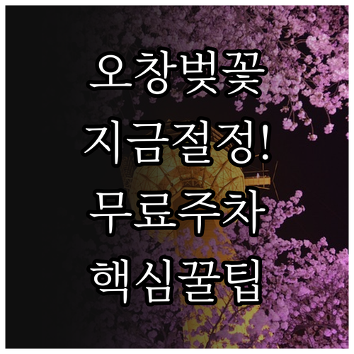 오창 호수공원 벚꽃 절정 시기와 주차..