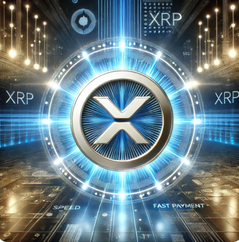 엑스알피 연관사진입니다