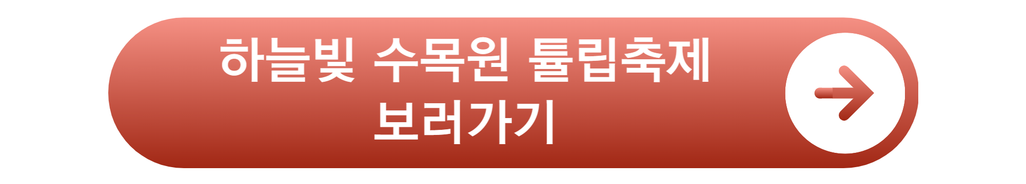 장흥 하늘빛수목원 튤립축제