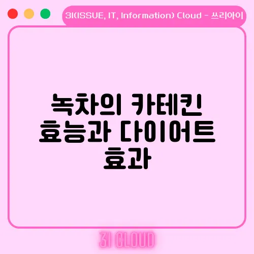 녹차의 카테킨 효능과 다이어트 효과