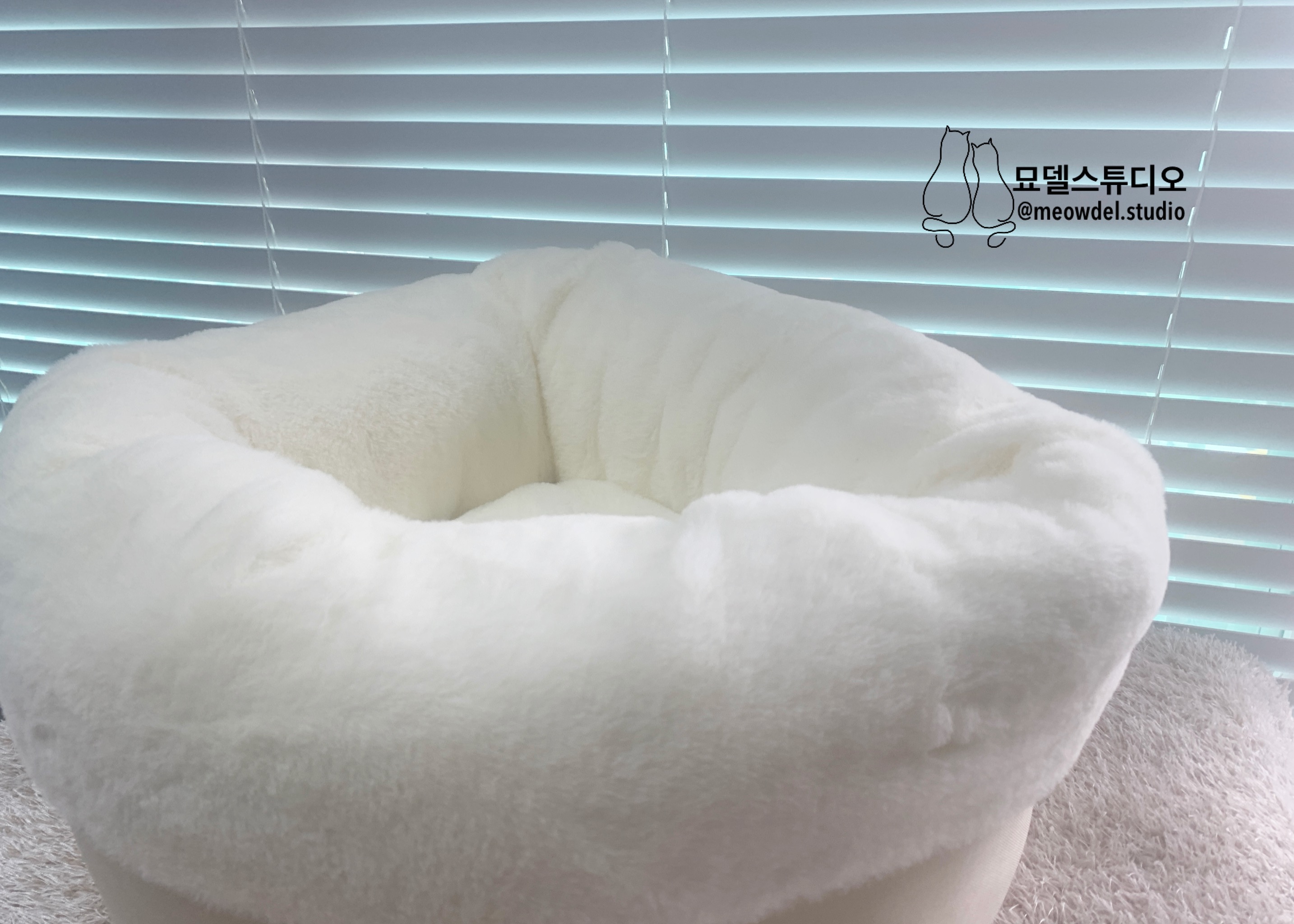 옥희독희퐁당쿠션