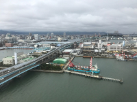 후쿠오카 여행 하카타 포트 타워