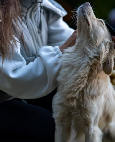 학교 교육 속 반려동물 인식 개선 프로그램의 도입 필요성&ndash; 어린이 대상 동물복지 교육 현황과 확대 필요성 논의 &ndash;