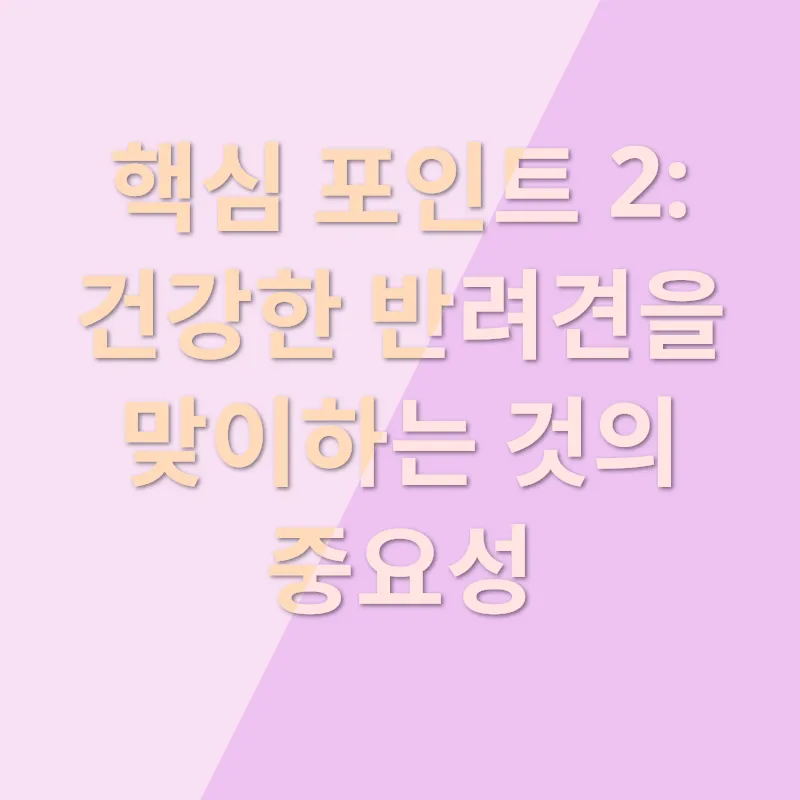 반려견 분양_2