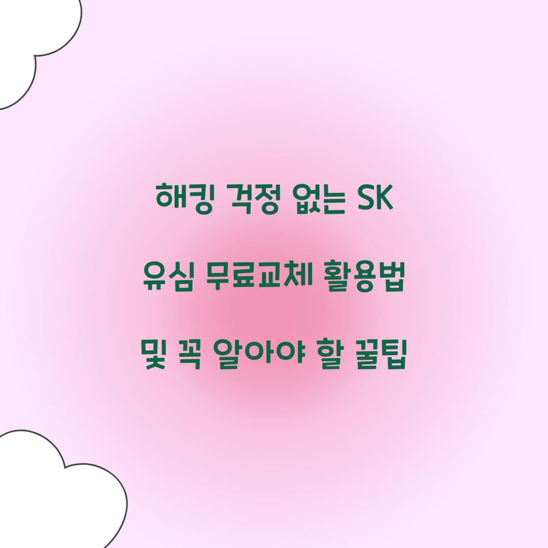 해킹 걱정 없는 SK 유심 무료교체 활용법