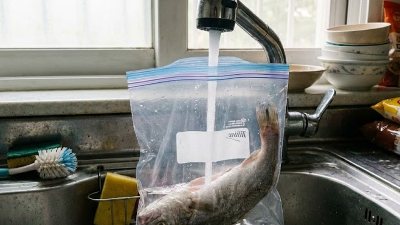 실온에 물로 해동하는 모습