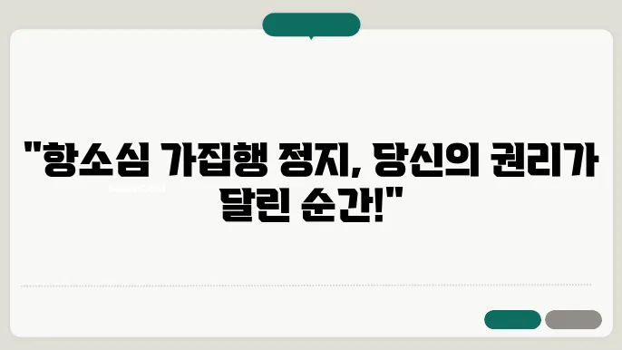 항소심 가집행 정지 신청