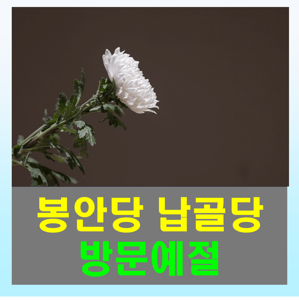 봉안당 납골당 갈 때 준비물, 방문예절, 피해야 할 것