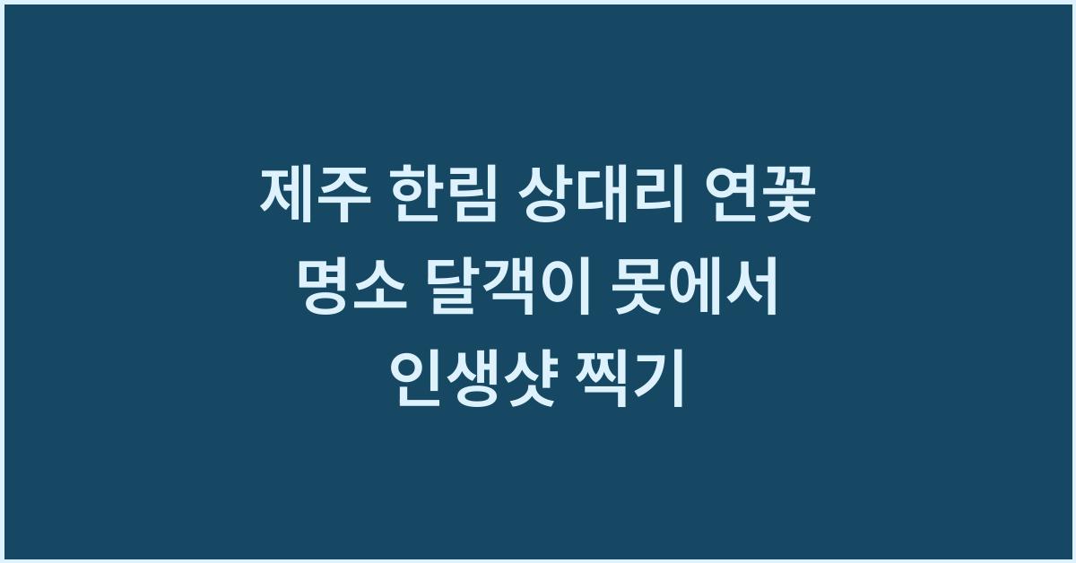 제주 한림 상대리 연꽃 명소 달객이 못에서 인생샷 찍기