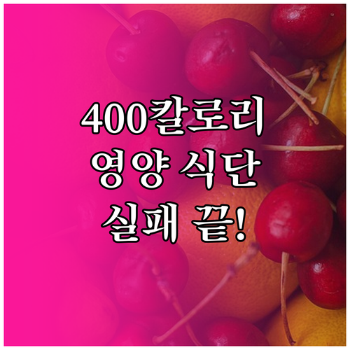 400칼로리 식단 다이어트 방법과 실..