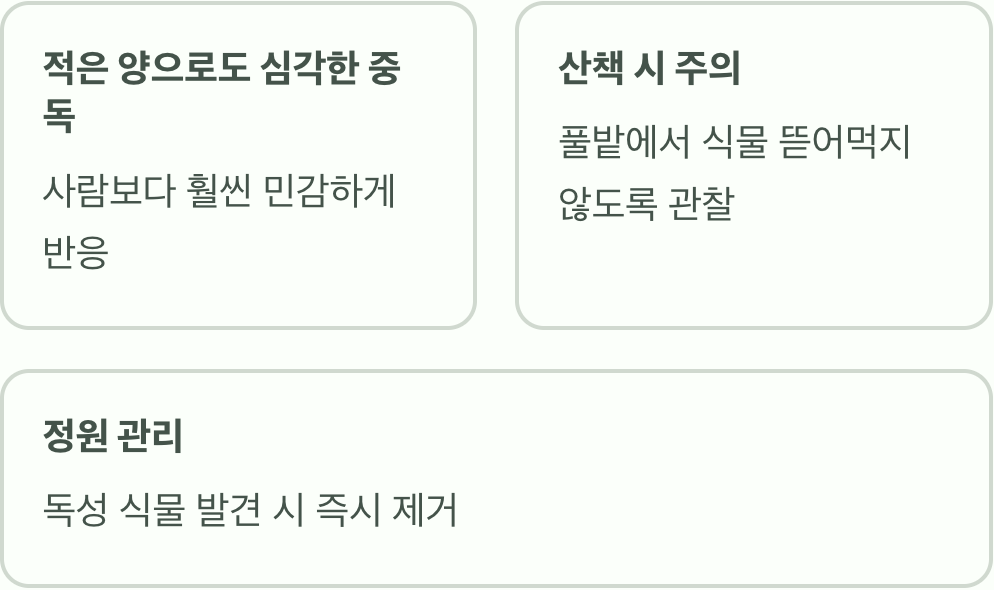 '반려동물'에게는 더욱 치명적