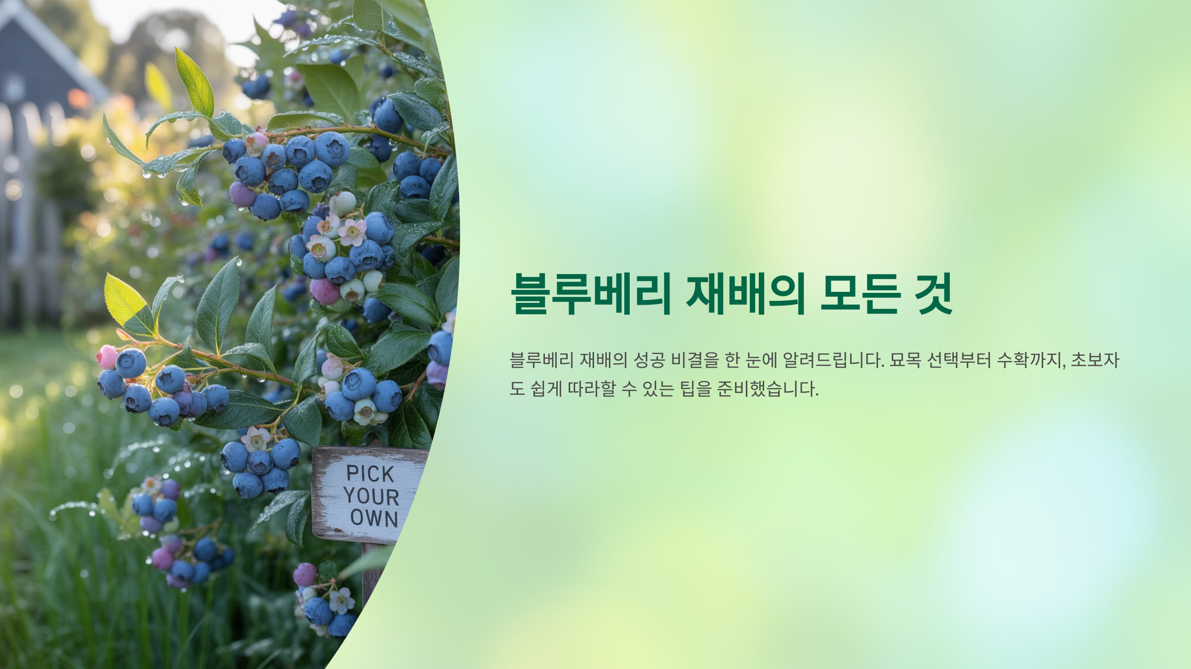 첫 단추 끼우기: 좋은 묘목 고르기 🌱