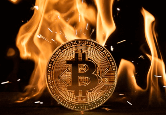 암호화폐 거래소